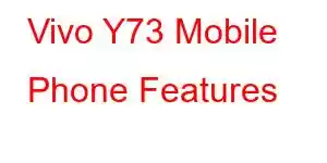 Vivo Y73 Mobile Phone Features