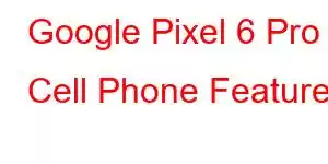 Google Pixel 6 Pro Cell Phone Features