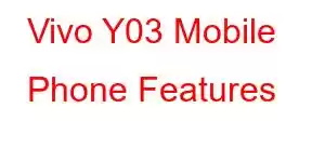 Vivo Y03 Mobile Phone Features