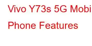 Vivo Y73s 5G Mobile Phone Features