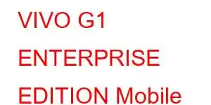 VIVO G1 ENTERPRISE EDITION Mobile Phone Features