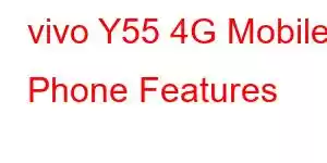 vivo Y55 4G Mobile Phone Features