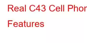 Real C43 Cell Phone Features