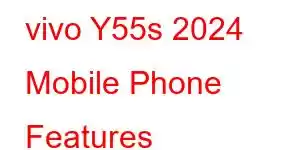 vivo Y55s 2024 Mobile Phone Features