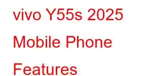 vivo Y55s 2025 Mobile Phone Features